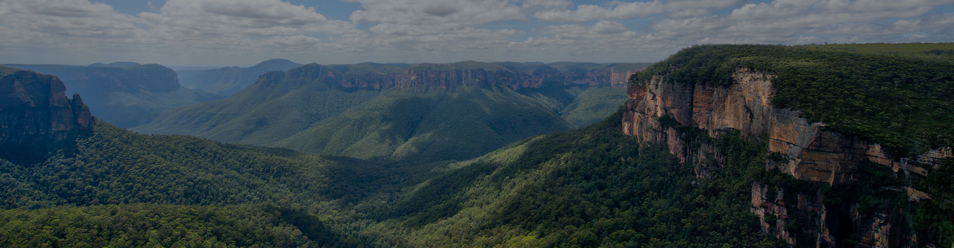 Blue Mountains